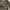 BIRKIN CAMO CANVAS 2WAY BAG photo 9