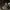 BIRKIN CAMO CANVAS 2WAY BAG photo 5