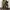 BIRKIN CAMO CANVAS 2WAY BAG photo 4