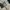 Maripol Under Ground photo 9