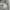 Crewneck MARDI MERCREDI Fruit Green Oatmeal / Sweatshirt Mar photo 5
