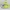 Converse Streetwear Casual Sneakers Pria white green photo 3