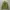 Crewneck MARDI MERCREDI FLOWERMARDI Light Green / Sweatshirt