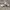 Nike Streetwear Sportswear Sneakers Pria white photo 1