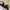 Stella McCartney Luxury Cosplay Bra Wanita multicolor photo 1