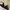 Stella McCartney Luxury Cosplay Bra Wanita Multicolor