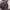 Stella McCartney Luxury Cosplay Bra Wanita multicolor photo 4