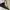 Stella McCartney Luxury Cosplay Bra Wanita multicolor photo 5