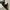 Stella McCartney Luxury Cosplay Bra Wanita multicolor photo 6
