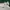 Levi's Man White Courtright Sneakers photo 2