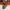 Columbia Streetwear Sneakers Pria gray photo 3