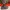 Columbia Streetwear Sneakers Pria gray photo 5