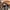 Columbia Streetwear Sneakers Pria gray photo 7