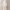 Korean Oversized Hoodie Unisex BW Anhelon