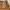 Vintage Y2K Skirt Wanita brown photo 4