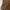 Vintage Y2K Skirt Wanita brown photo 5