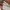 Omighty Vintage Y2K Skirt Wanita multicolor photo 5