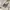 Fear of God ESSENTIALS Streetwear Y2K Hoody Pria cream photo 4