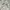 Fear of God ESSENTIALS Streetwear Y2K Hoody Pria cream photo 3