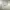 Fear of God ESSENTIALS Streetwear Y2K Hoody Pria cream photo 2