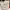 LeSportsac Reworked Shoulder bag Wanita white photo 2