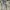 Nova Silk Bomber Luxury Pattern Jacket