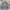 Biltmore Casual Harrington Jacket photo 7