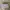 Guess Luxury Crossbody Bag Wanita pink photo 5