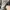 GUCCI SNEAKERS RIPPLE INTERLOCKING G LOGO LEATHER SHOES , GU photo 6
