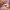 Casual Toy Kids yellow photo 7