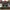 Ray Ban Luxury Casual Sunglass Pria black photo 1