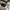 Ray Ban Luxury Casual Sunglass Pria black photo 2
