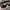 Ray Ban Luxury Casual Sunglass Pria black photo 3