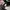 Vans sk8 low pro black white photo 7