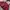 cherry shoulderbag photo 3