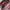 cherry shoulderbag photo 5