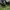 Adidas Luxury Skater Sneakers Pria white black photo 5