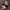 Ray Ban Biker Cosplay Sunglass Pria white blue photo 1