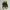 Converse x JW Anderson Chuck 70 Hi Glitter Pack Gold/Silver  photo 3