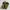 Converse x JW Anderson Chuck 70 Hi Glitter Pack Gold/Silver  photo 7
