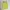 BNWT Callie Side Slit Buttoned Yellow Gingham Midi Skirt