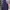 Reworked Fleece Pria purple black photo 4