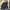 Harrington Lyle & Scott Classic Jacket photo 6
