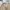 Japanese brand Vintage Casual Harrington jacket Pria tan photo 2