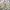 Japanese brand Vintage Casual Harrington jacket Pria tan photo 1