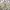 Japanese Brand Vintage Casual Harrington Jacket Pria Tan