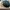 MLB Sportswear Hat Pria Multicolor