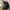Streetwear Hat Pria multicolor photo 2