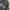 ROBIN'S JEAN Blue Skull Cross Japan Leather selvadge photo 2