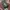 Arei Outdoorgear Emerald 0.1 Backpack photo 7